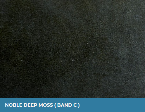 Noble Deep Moss